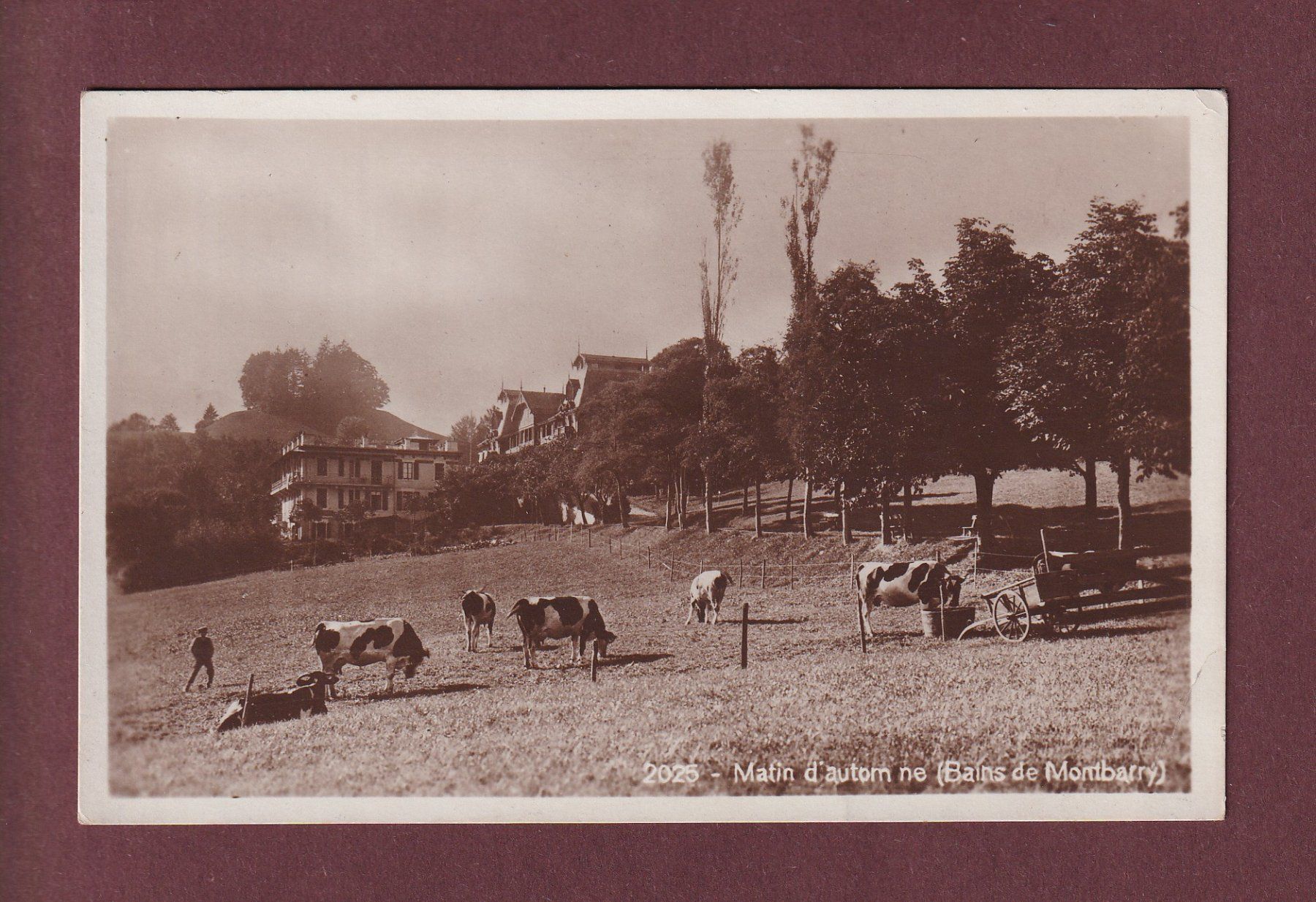 Ansichtskarten: BAINS DE MONTBARRY - Vaches - 1924 // pli d'angle // – Gebraucht aus Pully von nicecards