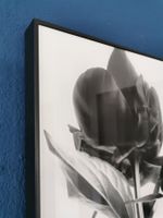 Fotografie FineArt Unikat auf Acrylglas gerahmt Wandkunst