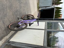 Dirt Bike
