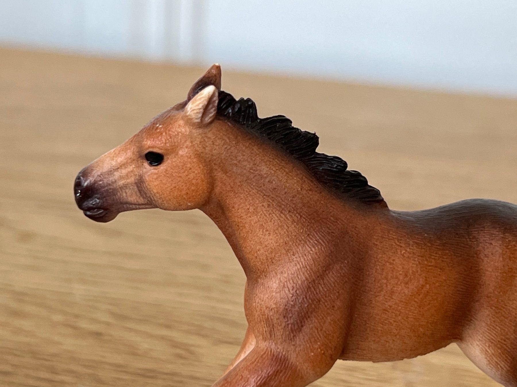 Schleich Statuette: Mustang Fohlen 13807 Schleich – Usato da Ennetbaden venduto da mapa05 1
