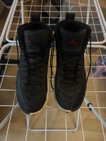 Jordan 12 Nylon Grösse 47.5
