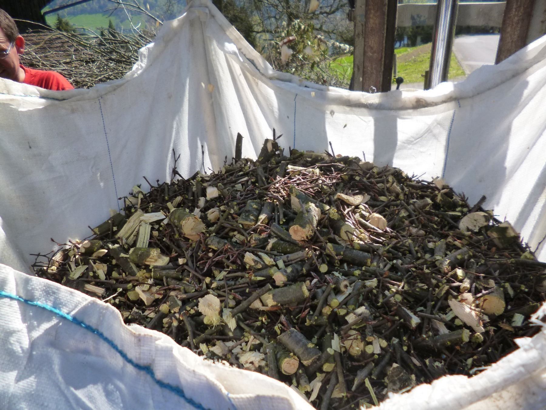 Déchiqueteuse: Holzhacker / Häcksler – Neuf avec emballage d'origine à Kastanienbaum par acapulco 3