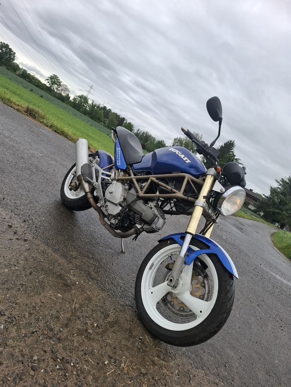 Ducati Strada: Ducati Monster 600 Motorrad wunderschön – Usato da Rotkreuz venduto da Babo21