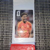 Panini