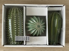 Deko Kakteen Set, 3-teilig, Keramik, Grün