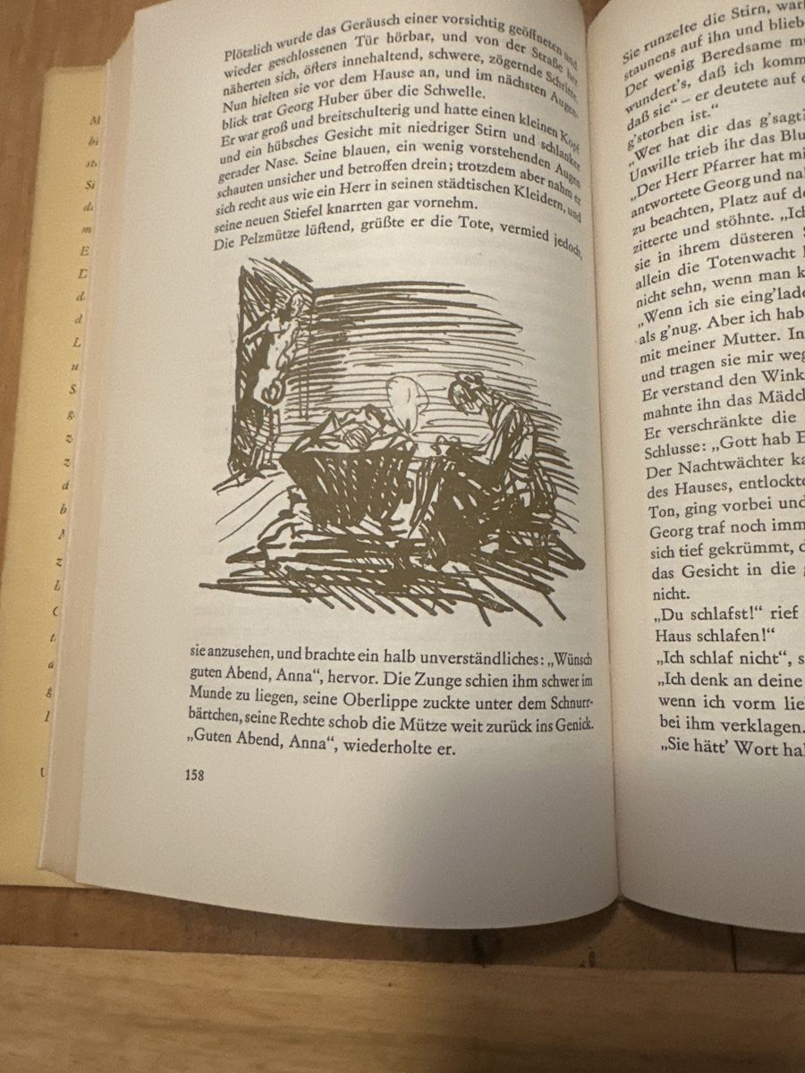 Libri: Fräulein Susannens Weihnachtsabend – Usato da Frauenfeld venduto da aluma14 2