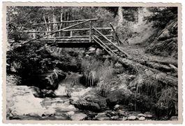 Wer weiss wo? Holzbrücke, Steg im Wald