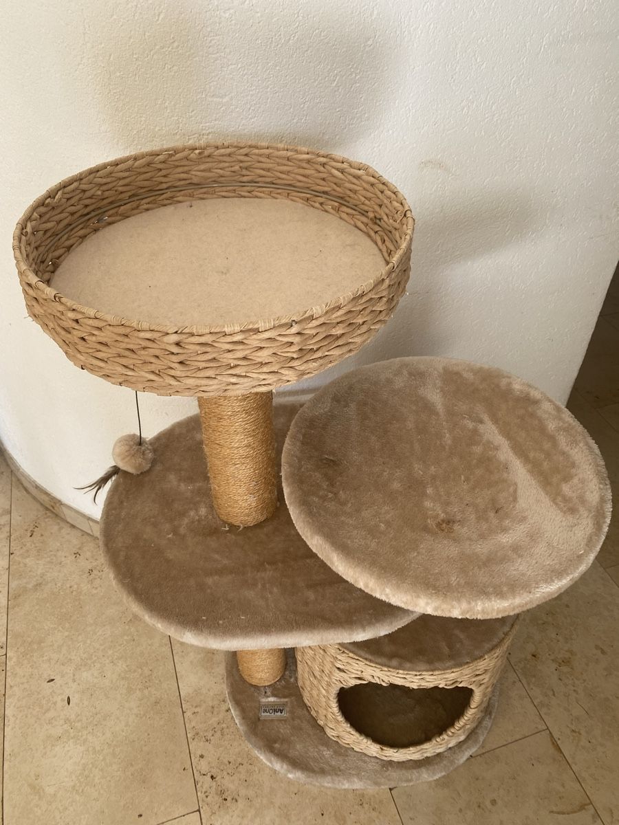 Tiragraffi: Katzenbaum – Usato da Brunnen venduto da NNinnello 3