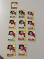 PANINI - 12 NZL Sticker