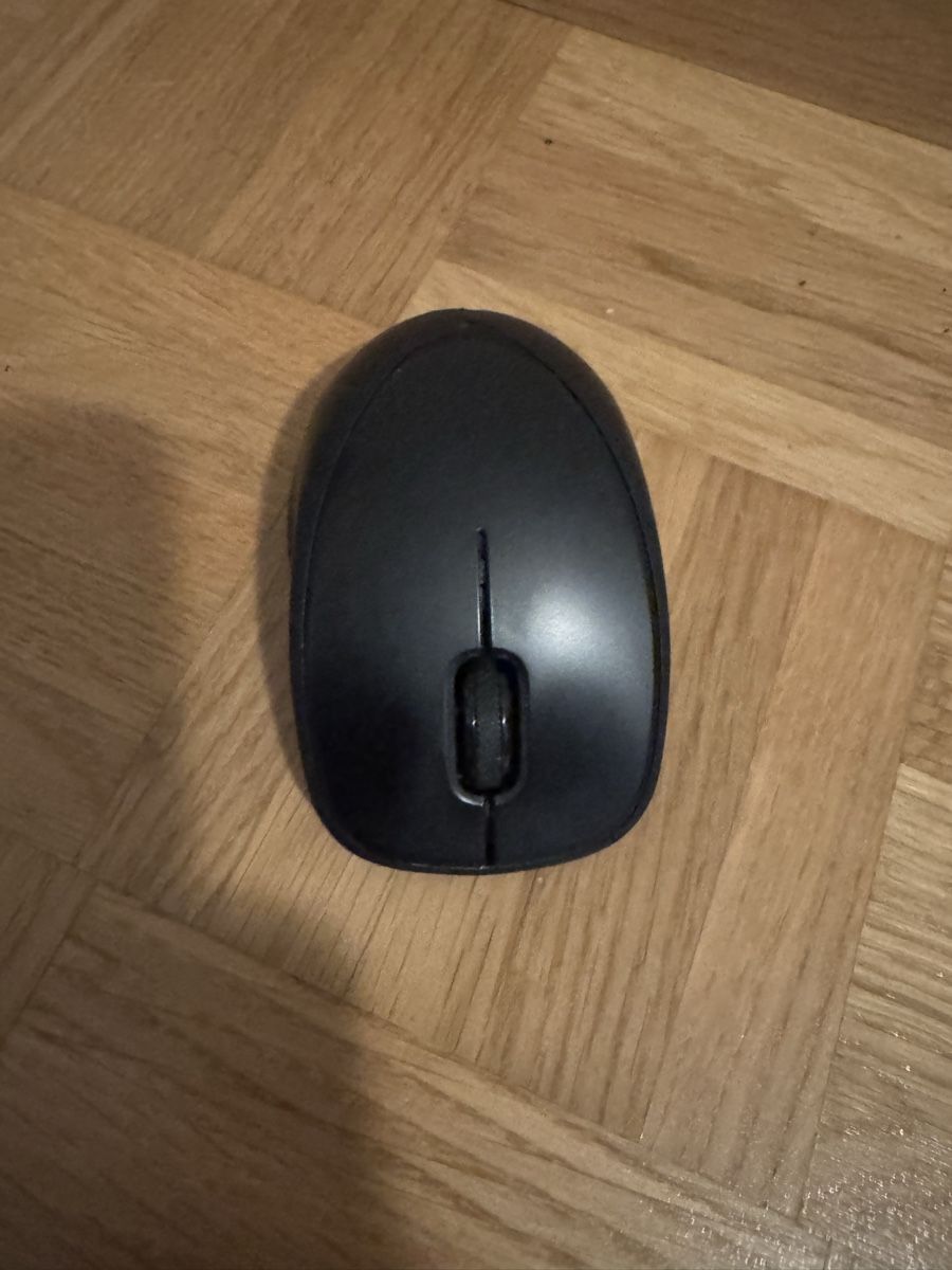 Hewlett Packard Maus: HP Maus Modell H2L63AA, schwarz, kabellos – Gebraucht aus Zürich von MaSte 1