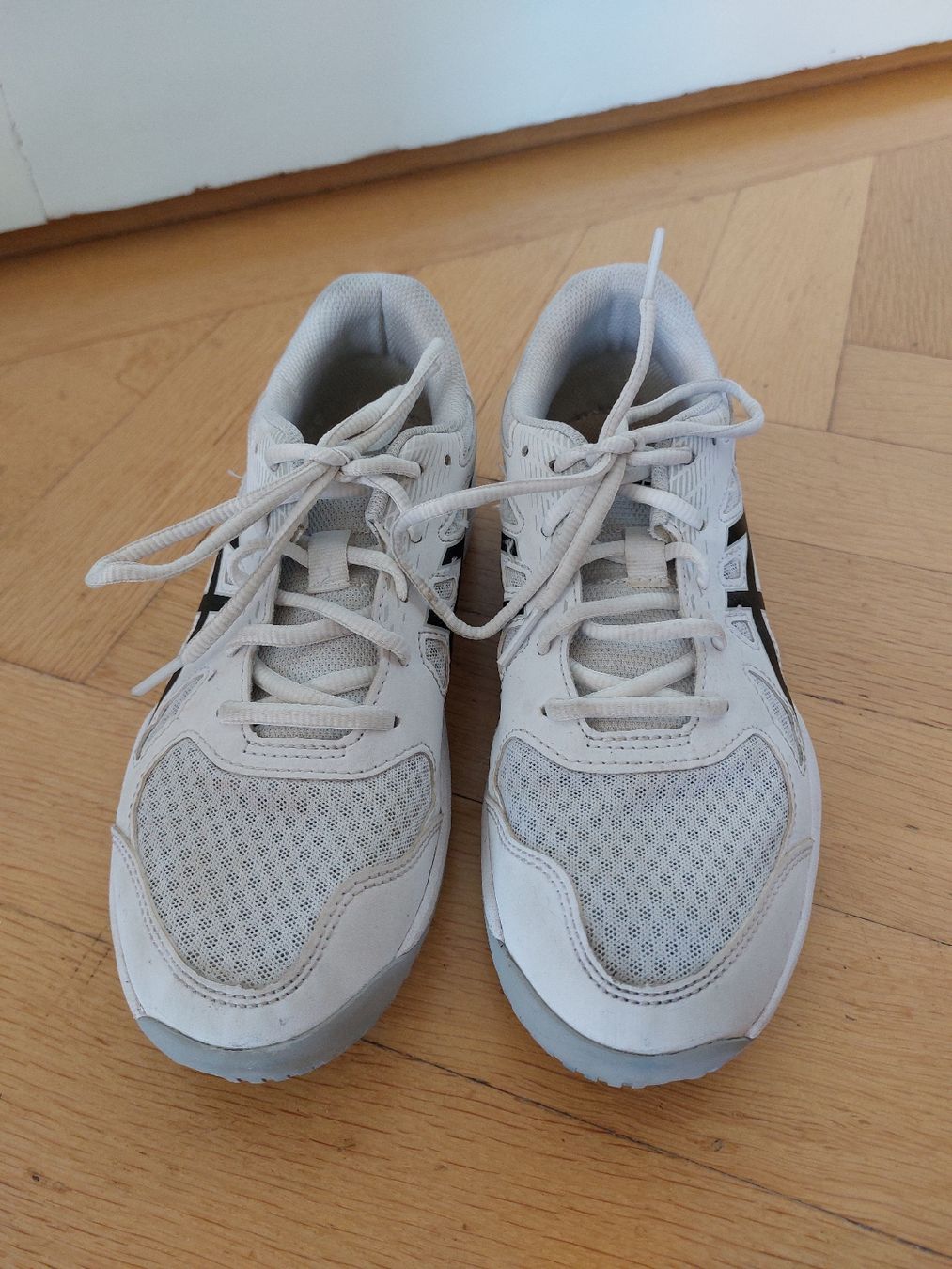 Asics Herrenschuhe: Hallenturnschuhe – Gebraucht aus Kriens von nordlicht09 1