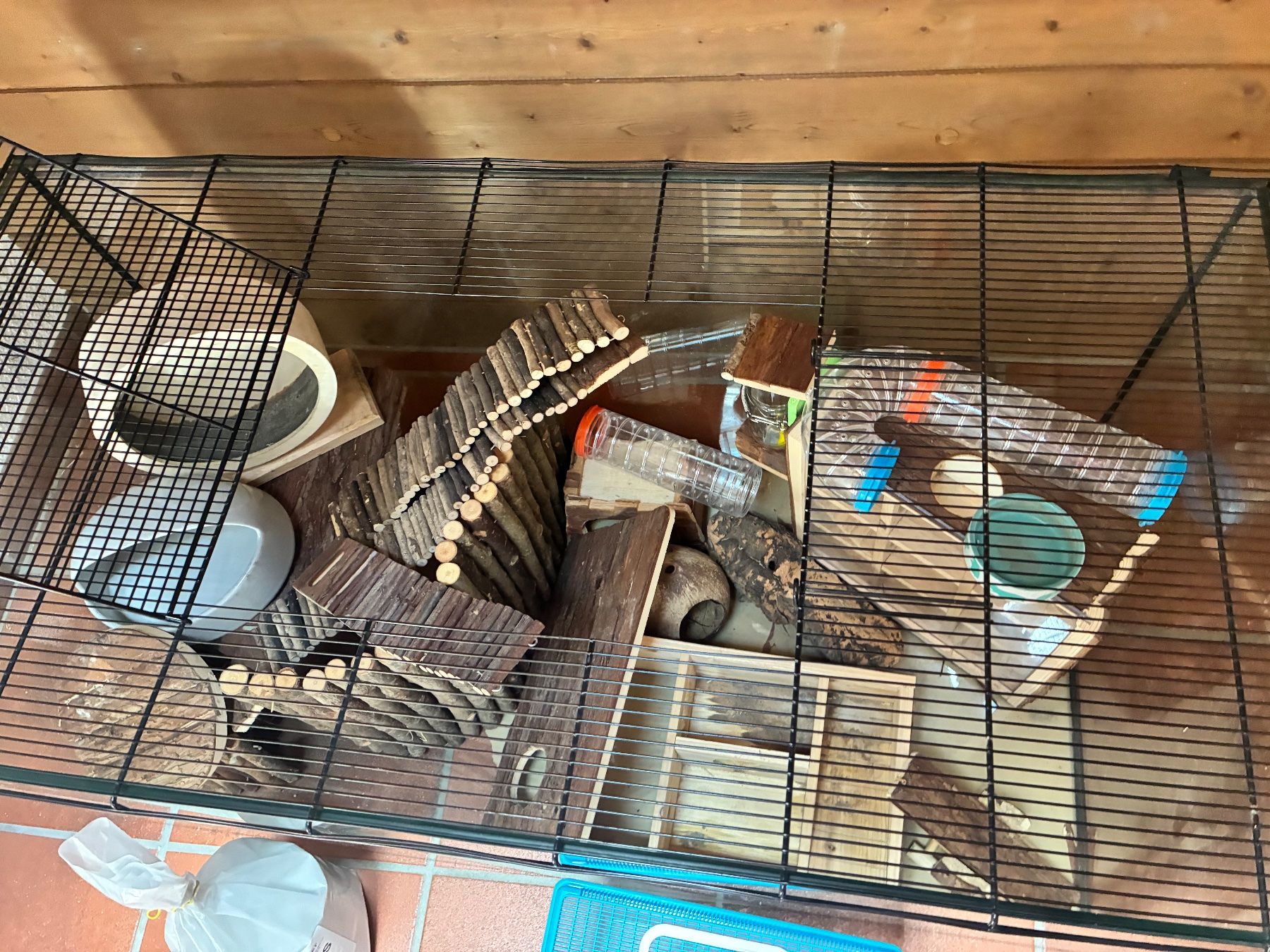 Terrarium: Terrarium Hamster inklusive Inhalte – Gebraucht aus Walzenhausen von Vauti 1