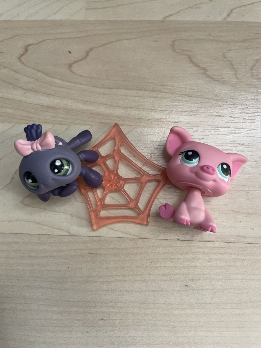 Hasbro Giocattoli: Littlest Pet Shop Spider + Pig – Usato da Fribourg venduto da tinavon