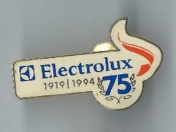 Plaketten & Abzeichen: Electrolux Pin – Gebraucht aus Zürich von t24_de
