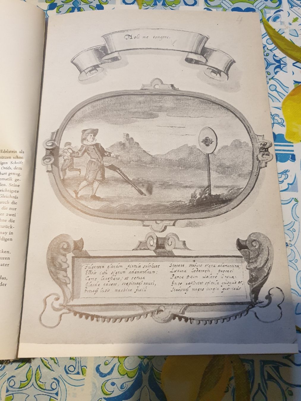 Bücher: FRÜHE EMBLEME AUS DER STIEMARK – Gebraucht aus Viganello von Priska.c 3