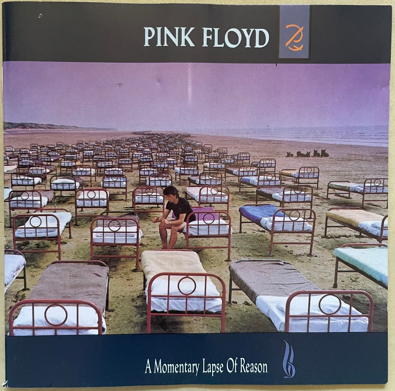 CD: Pink Floyd - A Momentary Lapse of Reason – Usato da Brunnen venduto da Barfly5