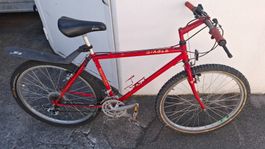 Fahrrad