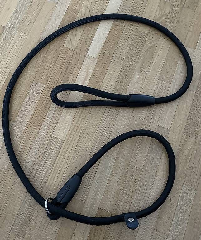 Guinzagli & Collari: Hunde Leine – Nuovo e nell'imballaggio originale da Zofingen venduto da Zysset_M