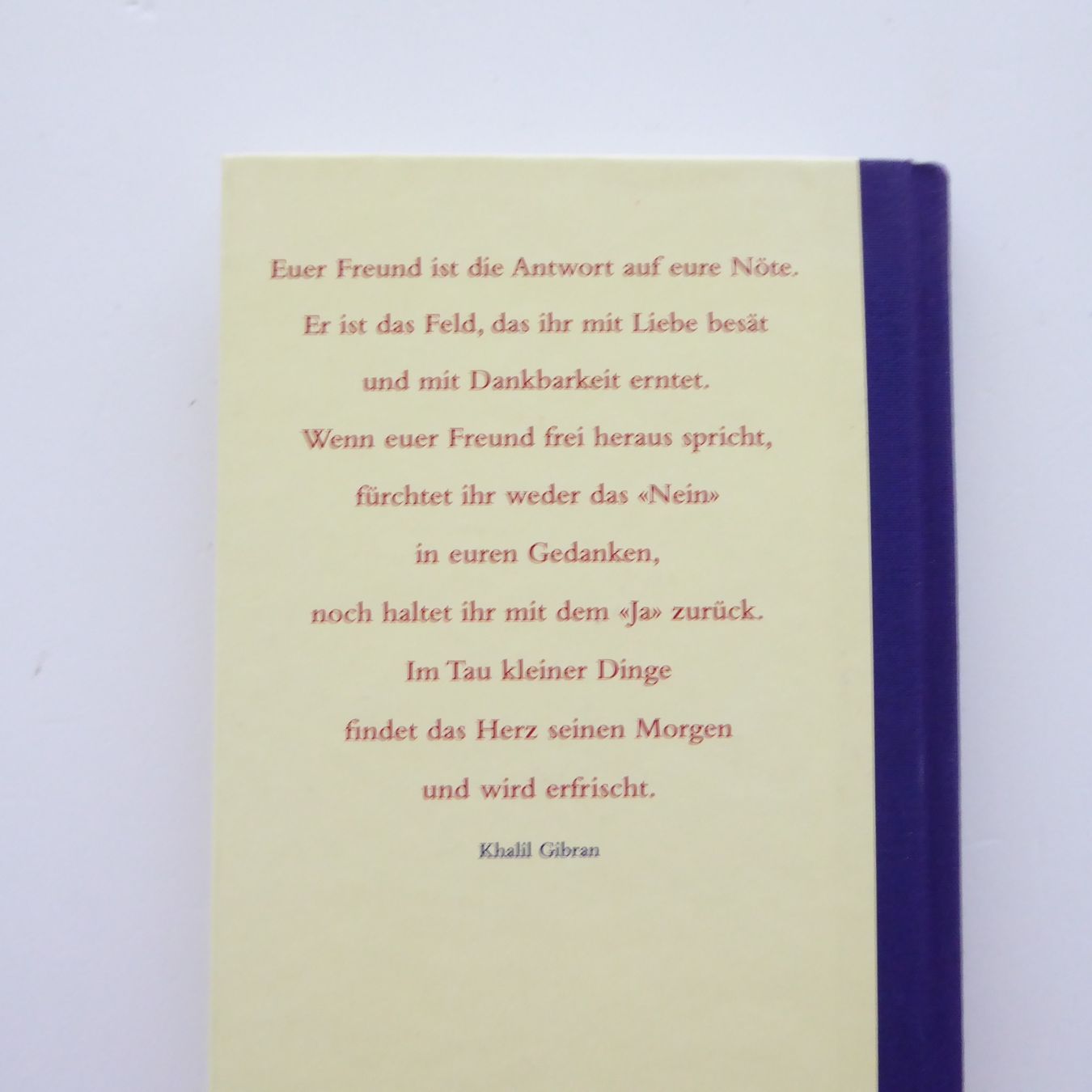 Libri: Der Prophet - Khalil Gibran – Usato da Basel venduto da Kunterbunt12 1