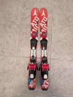 Ski 80cm