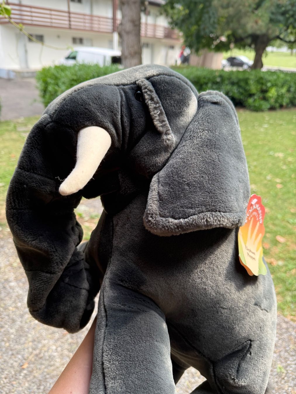 Puppen: Folkmanis Handpuppe Elefant – Neu (gemäss Beschreibung) aus Unterseen von delago54 1