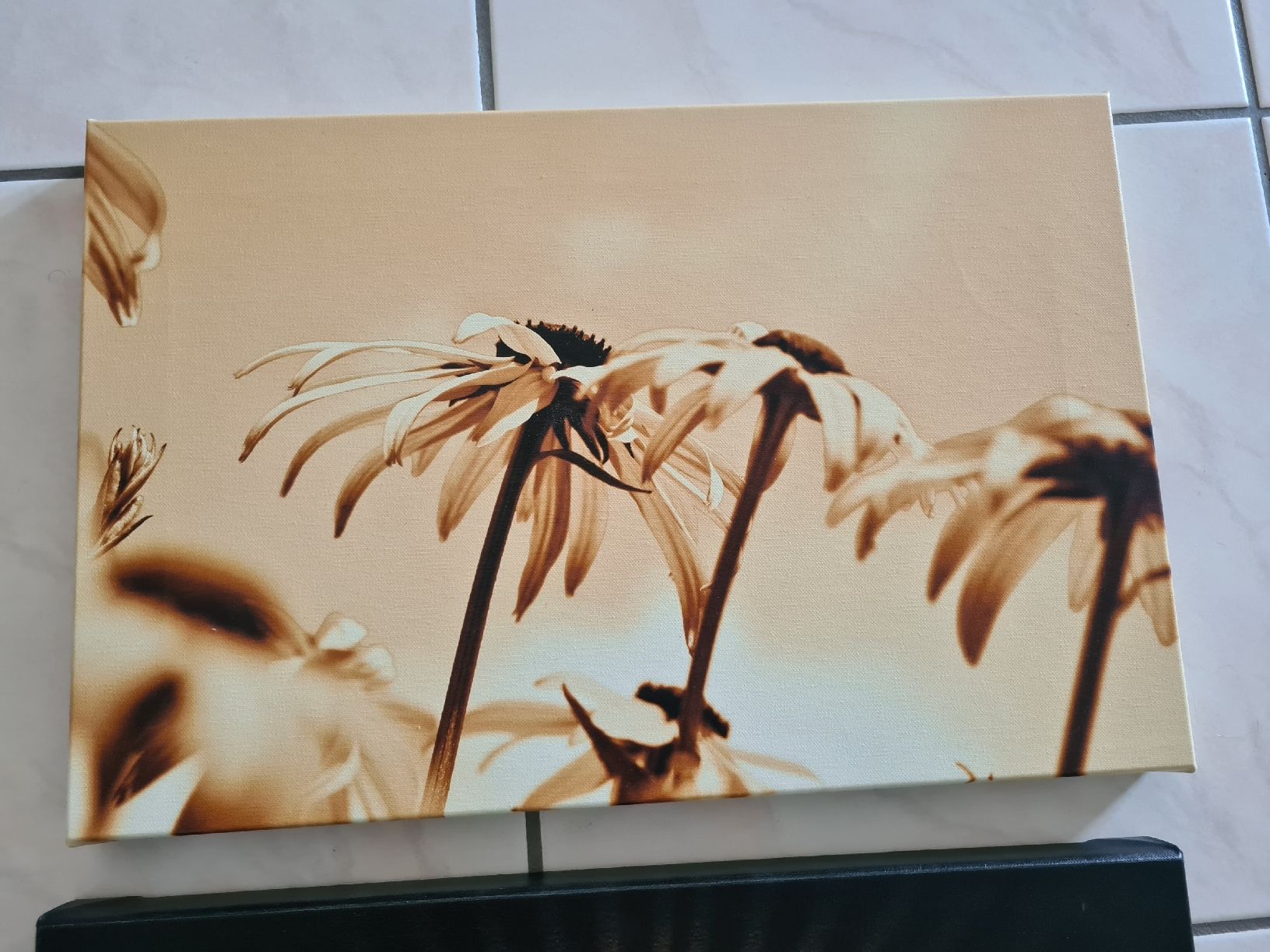Foto & Immagini: 3er Set Wandbilder Leinwandbilder – Usato da Ebikon venduto da Songbird85 3