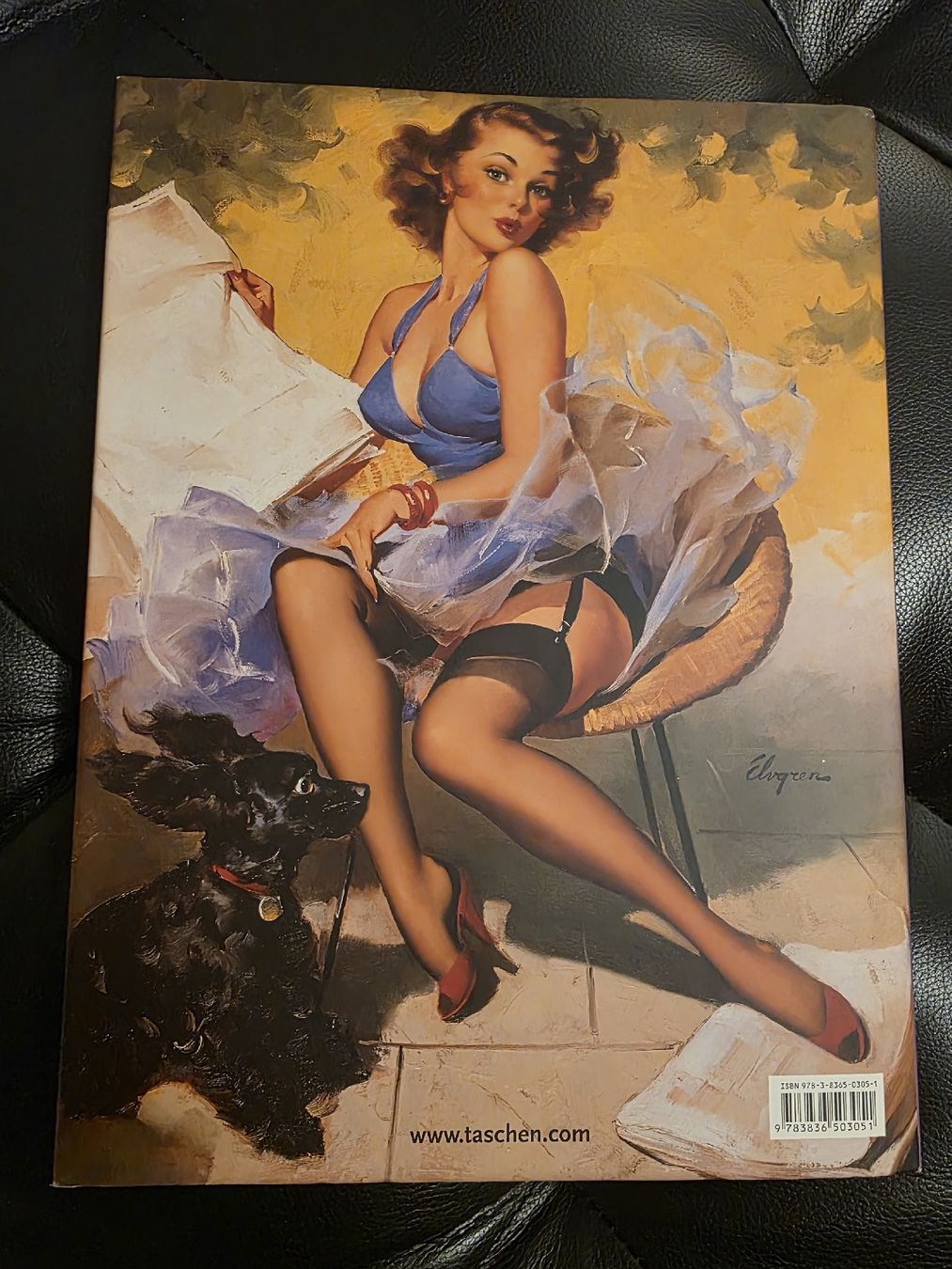 Libri: Gil Elvgren - The Complete Pin-ups, TOP Zustand! – Nuovo (secondo la descrizione) da Kerns venduto da d_s_obwalden 6