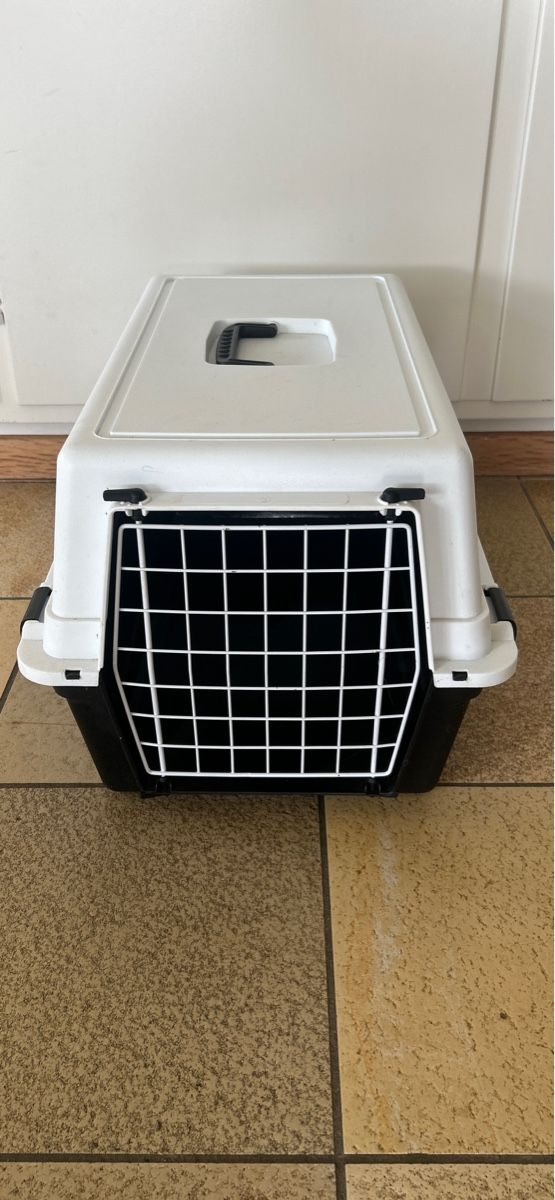 Cucce & Letti: Katzen Transportbox – Usato da Bachs venduto da jok_8p6r