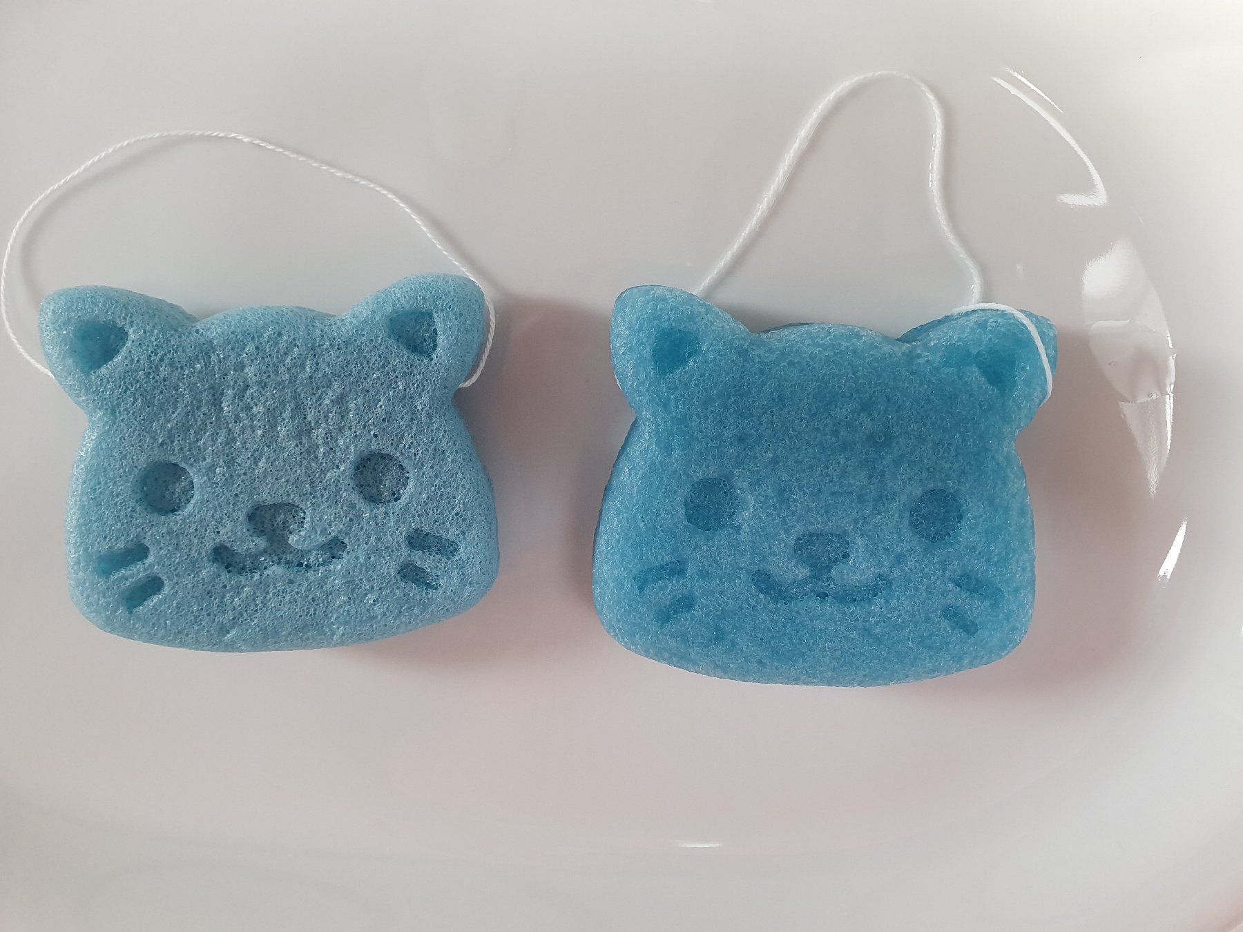 Altro per la casa: Konjacschwamm Katze blau – Nuovo e nell'imballaggio originale da Ebmatingen venduto da zeitlos-gesund.ch 1