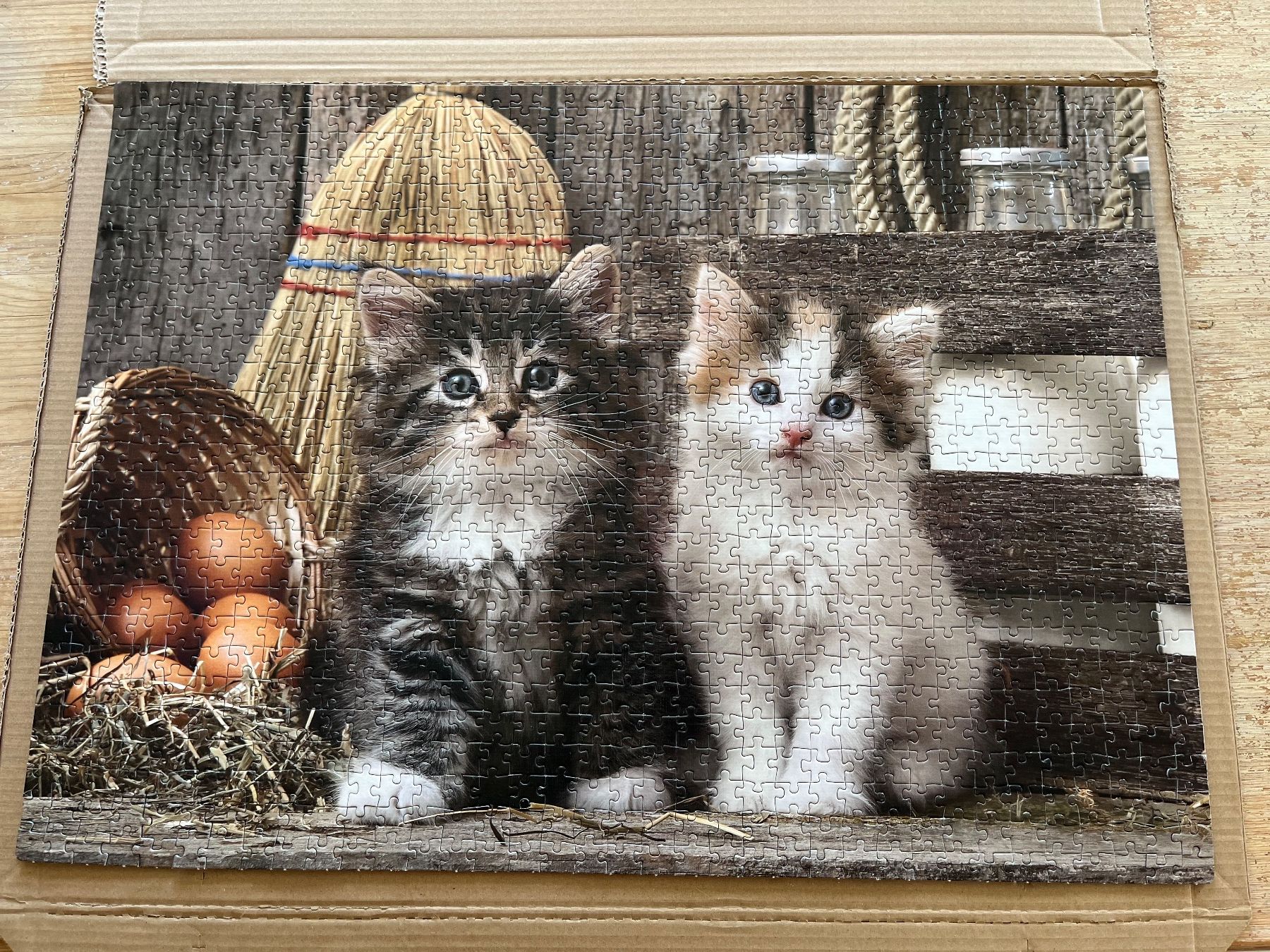 Clementoni Puzzle: Clementoni Puzzle Katzen – Usato da Eschenbach SG venduto da Joey-Li 1
