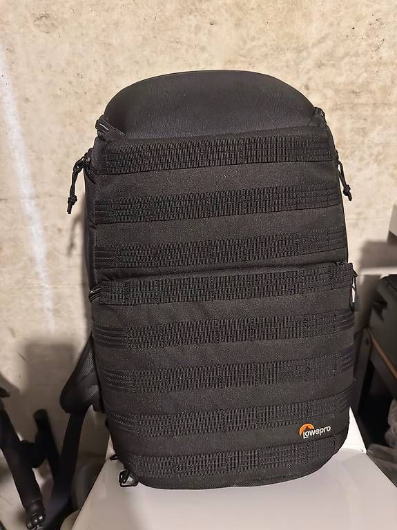Zaini: Lowepro ProTactic 450 AW Profi-Kamerarucksack – Usato da Rieden AG venduto da hedgey