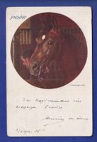CHEVAL / PFERD - Padvar