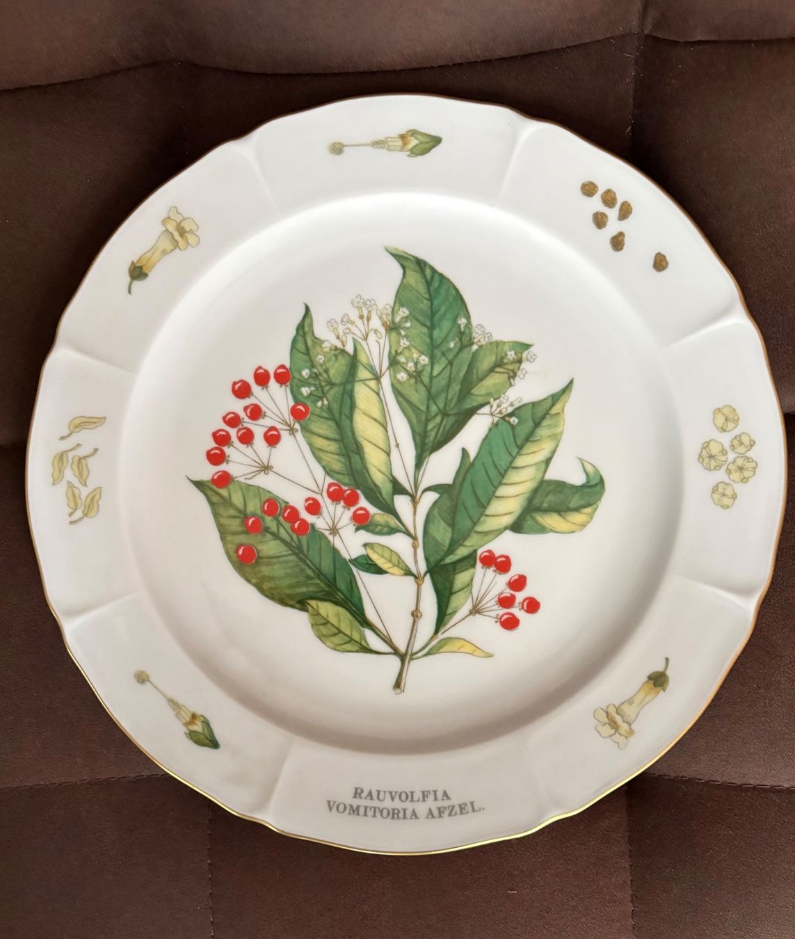Siegfried Piatti: Assiette Langenthal porcelain Botanique Siegfried collection – Usato da Crans  Montana venduto da proff