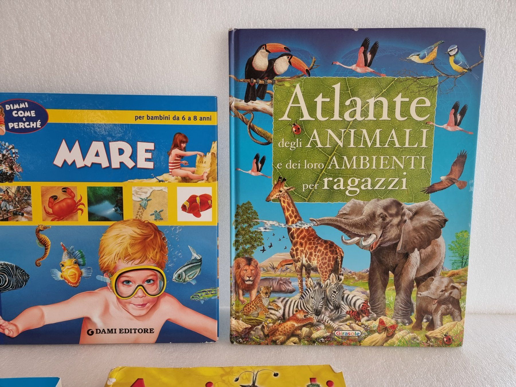 Libri: 5 libri degli animali – Usato da Hinwil venduto da Fransim 2