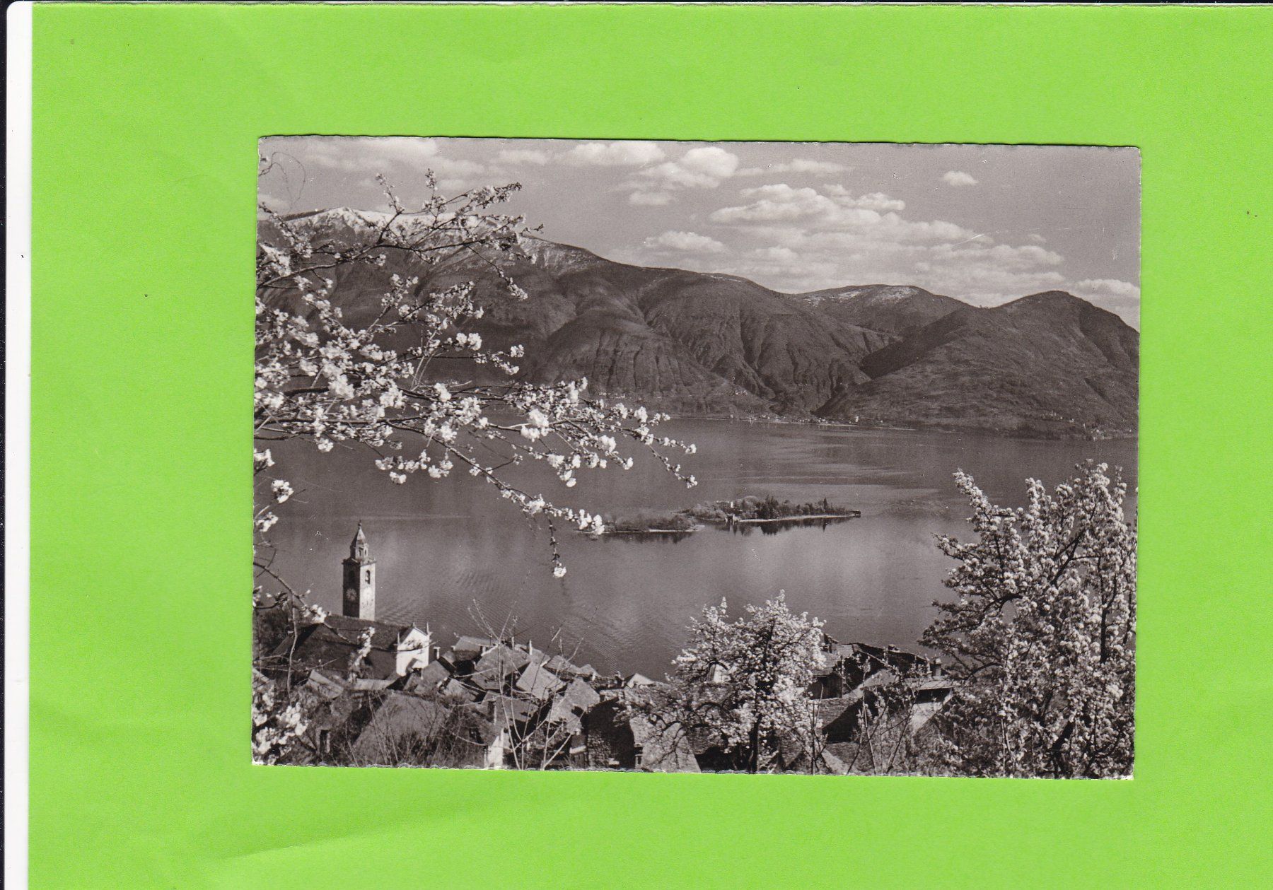 Cartoline postali: Ronco--Isole Brissago – Usato da St. Peterzell venduto da neckertal