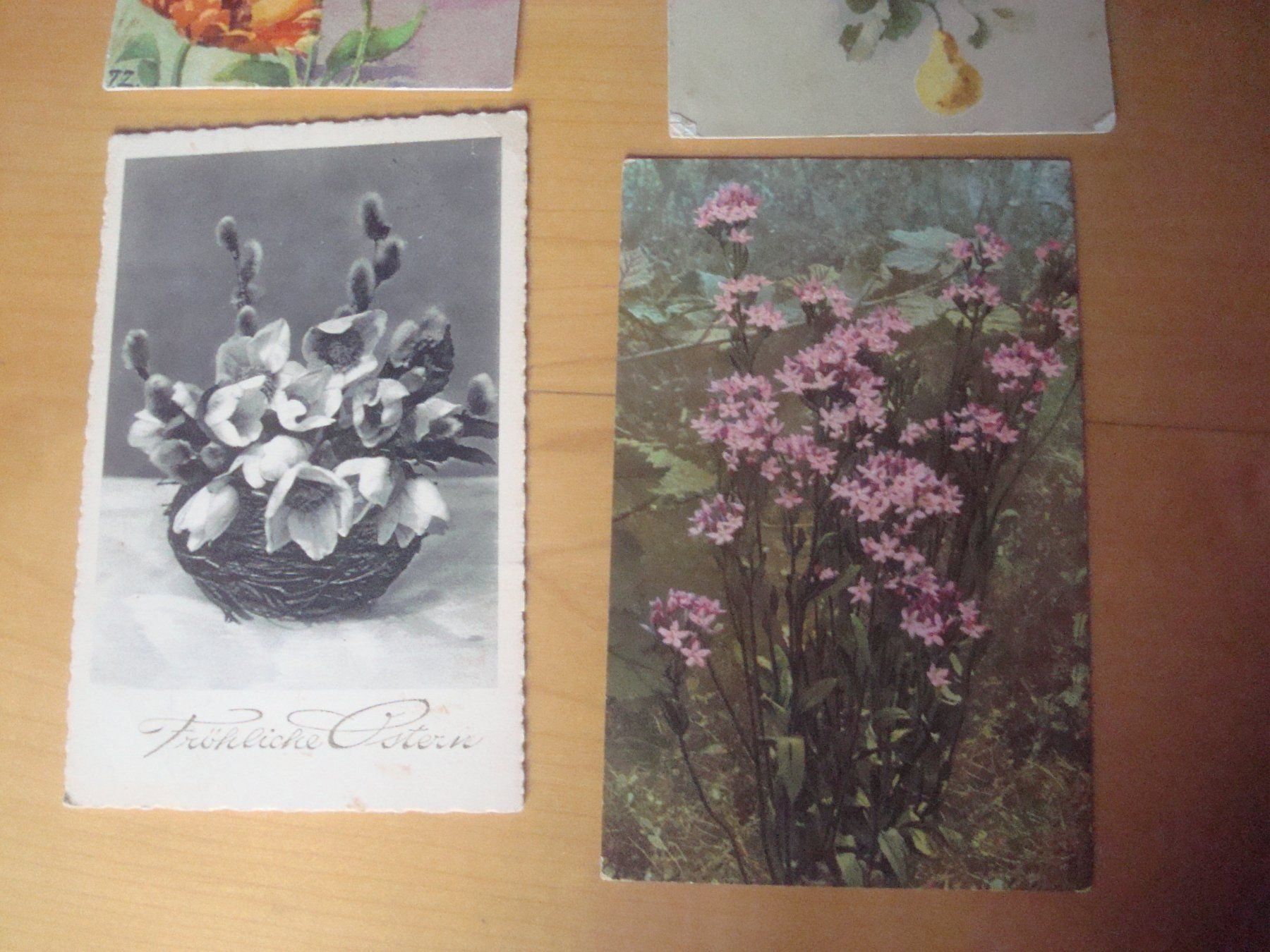 Cartoline postali: No 11 AB 1913 schöne alte Postkarten – Usato da Gordola venduto da Polentaefung 2