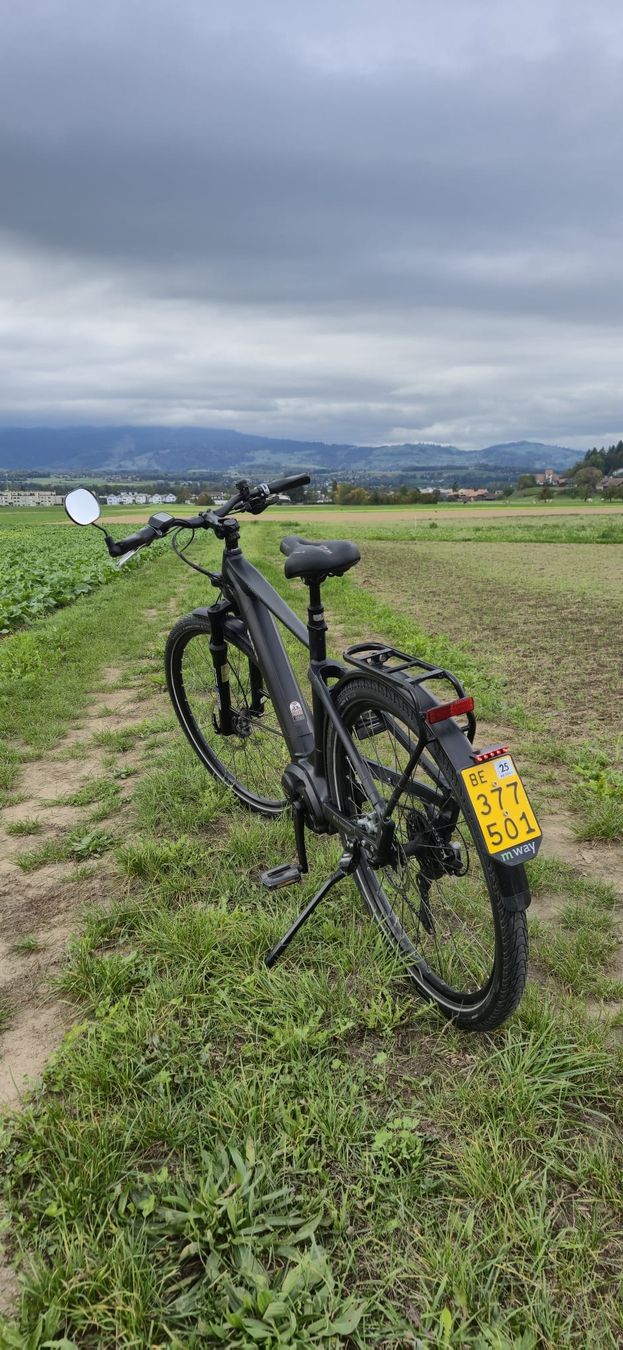 Cresta Biciclette: Cresta eGiro Neo 45 km/h – Usato da Steffisburg venduto da RnPerformanceShop 2