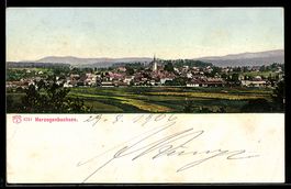 AK Herzogenbuchsee, Ortsansicht mit Kirche und Feldern