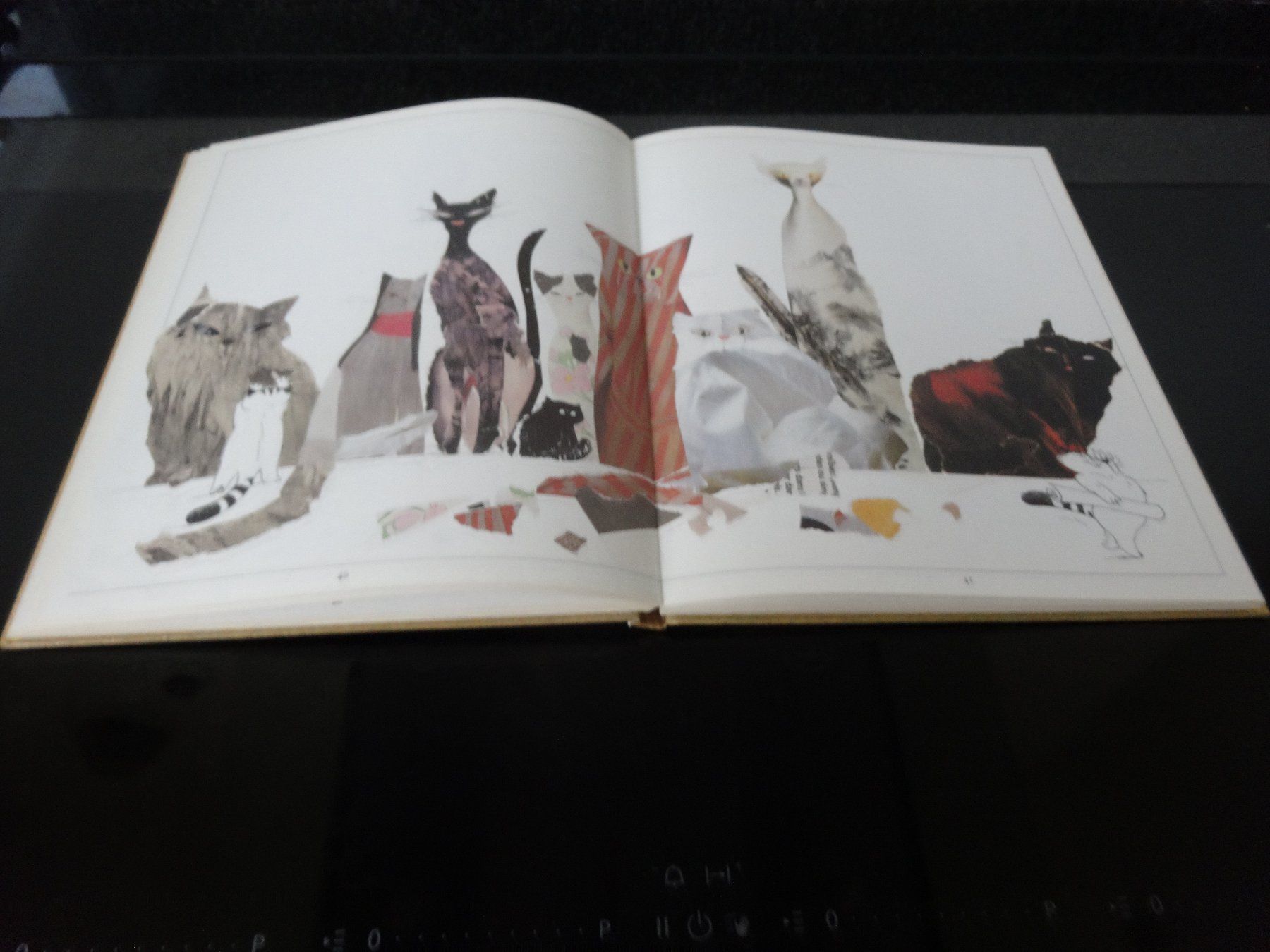 Libri: Jakob Extra Katzengeschichten Benteli Bern – Usato da Neerach venduto da jenny062 5
