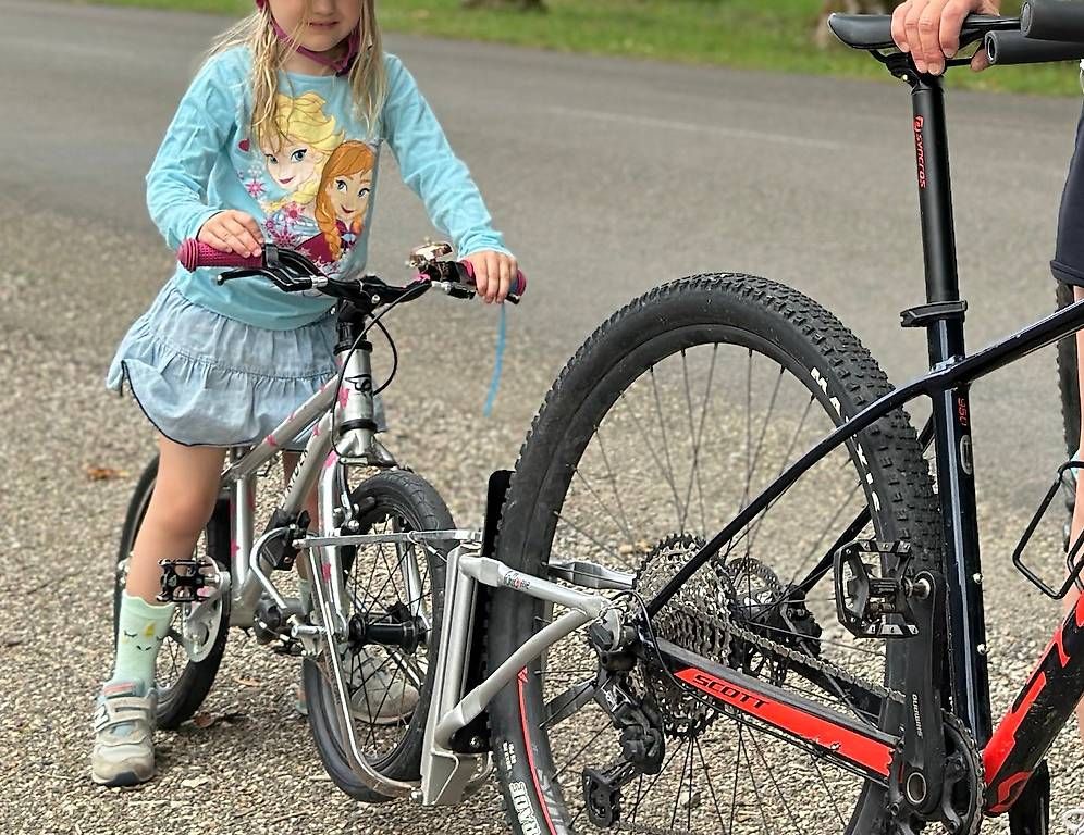 Rimorchi: Follow me Veloanhänger – Usato da Basel venduto da berenjeno2 2