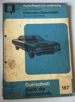 Auto Reparaturanleitung 187