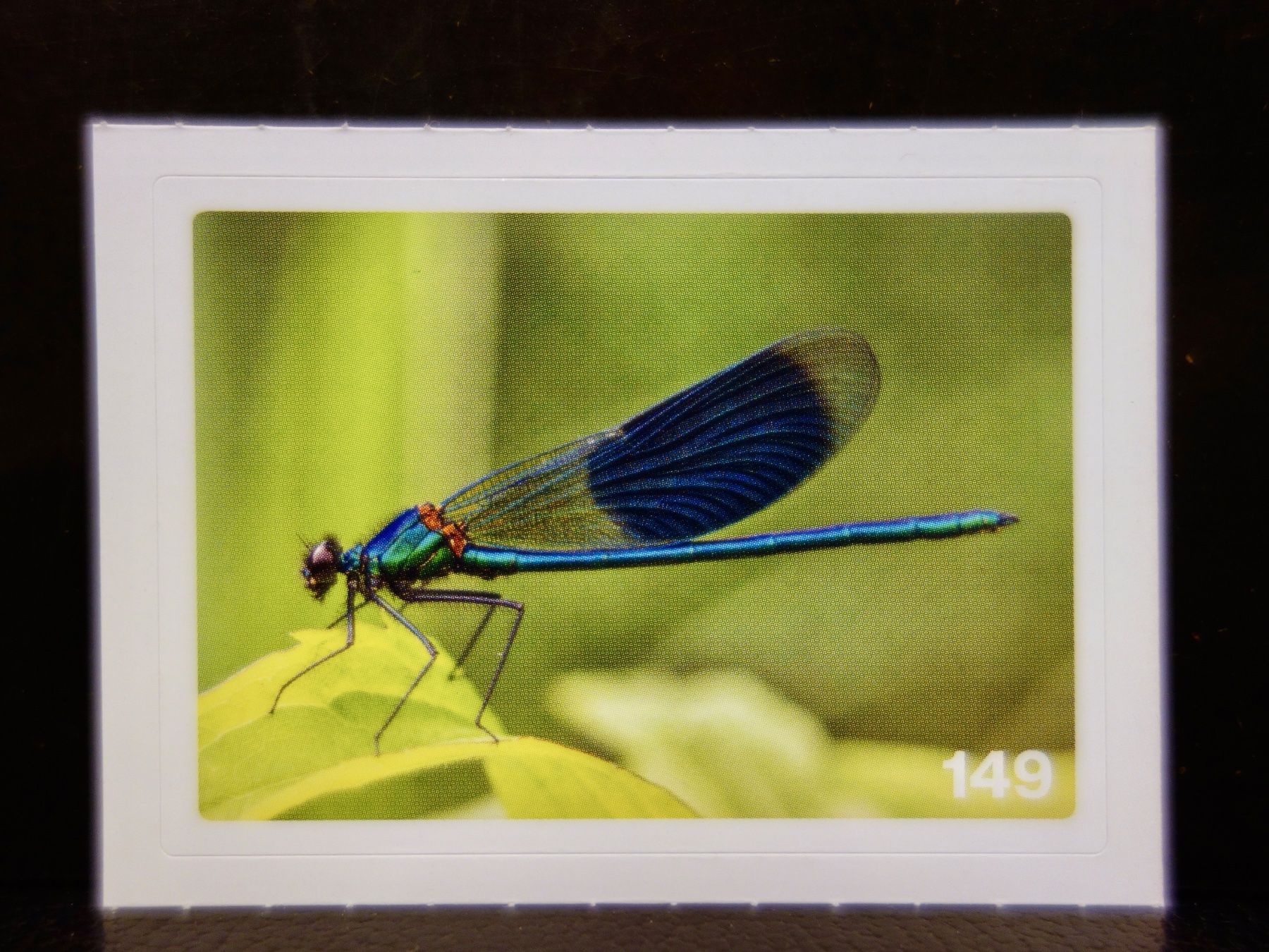 Migros Sammelbilder & Trading cards: MIGROS MANIA Nature Detectives Nr. 149 – Neu und originalverpackt aus Kerzers von djstarsky73