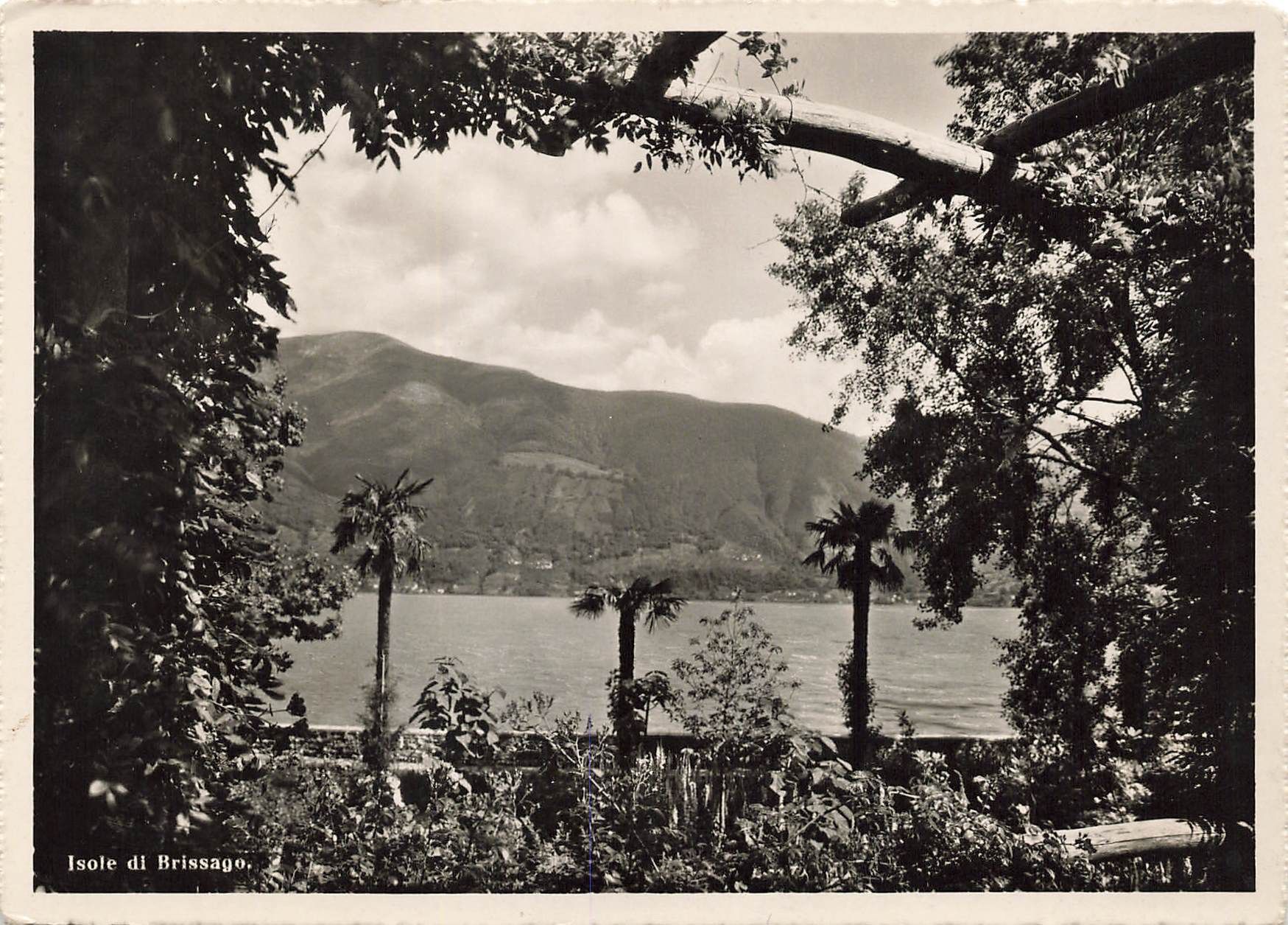 Cartoline postali: Isole di Brissago – Usato da Biasca venduto da Blenio71