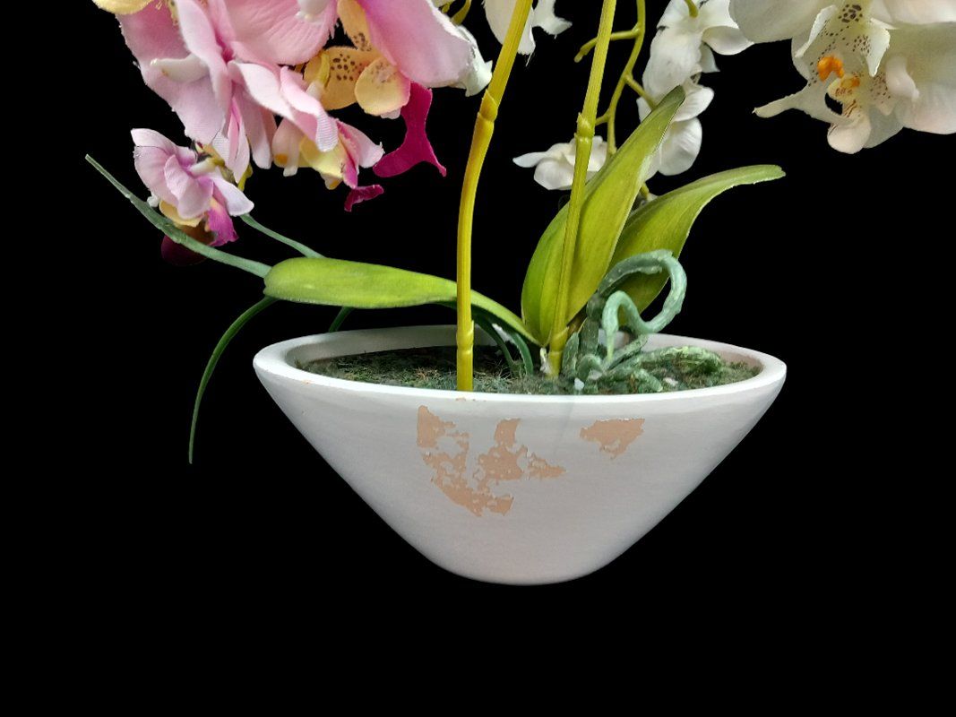 Tutte le decorazioni: Kunstpflanze Orchidee – Usato da Hünenberg venduto da Restwert_Zug 9