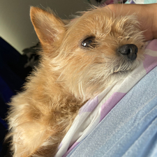 Profile image of Loolla