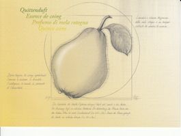 SBK 1646 Geschenkfolder