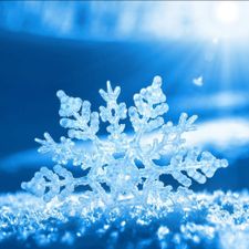 Profile image of Hard_snow