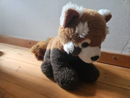 Kleiner Panda Plüschtier aus Zoo Zürich