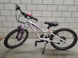 Spezialized 20 Zoll