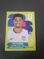 panini USA 15